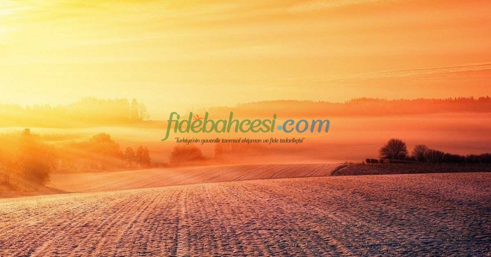 Nadas: Toprağı Dinlendirmenin ve Verimliliği Artırmanın Bilimsel Yolu