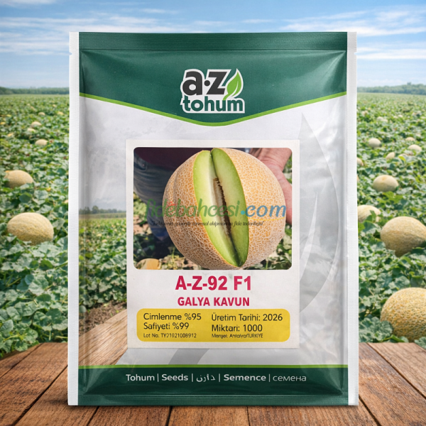 A-Z-92 F1 Galya Kavun Tohumu