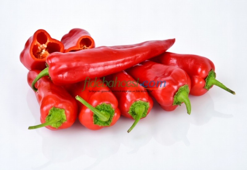 Albayrak F1 Kapya Biber Fidesi