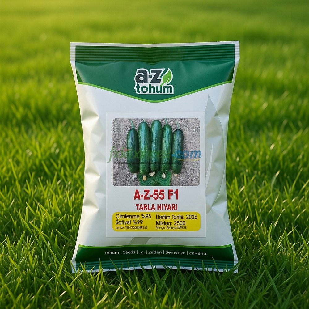 AZ 55 F1 Oturak Tarla Hıyar Tohumu