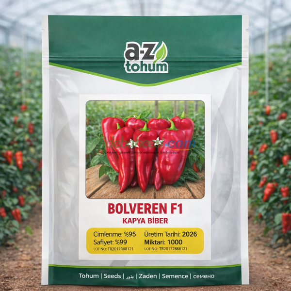 Bolveren F1 Kapya Biber Tohumu
