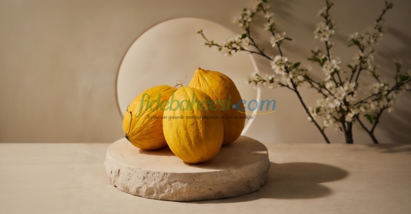 Davutbey F1 Sarı Kavun Fidesi - Görsel 2