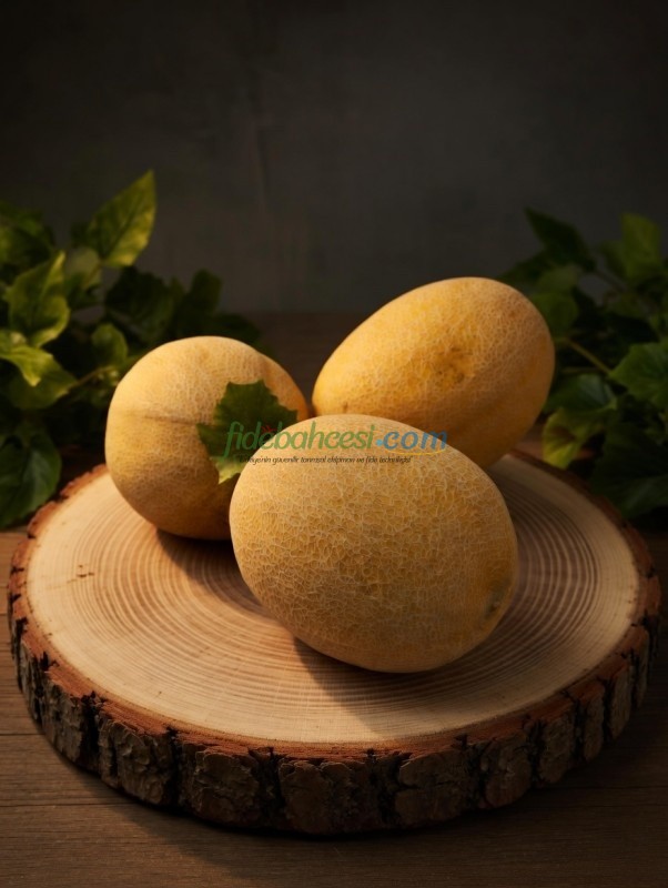 Duble F1 Kavun Fidesi