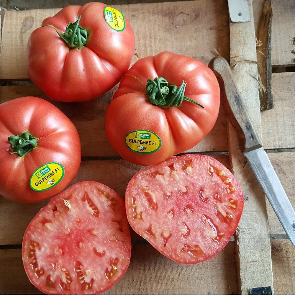 Gülpembe F1 Pembe Domates Fidesi - Görsel 2