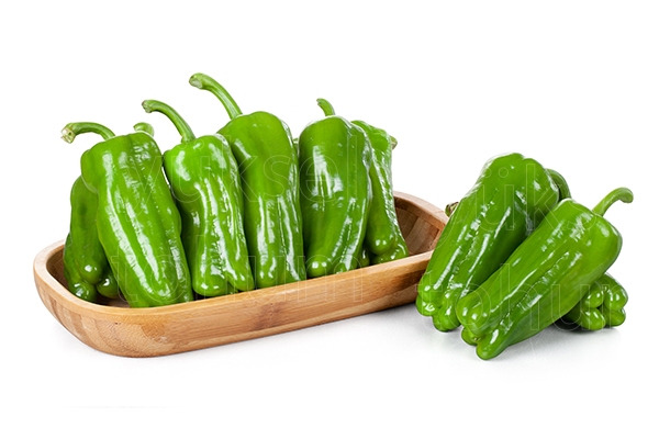 İstek F1 Dolma Biber Fidesi