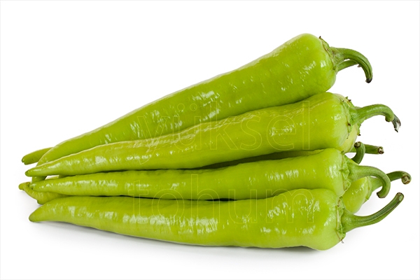 Yalçın F1 Biber Fidesi