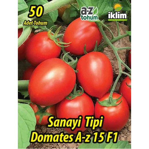 A-z 15 F1 Sanayi Tipi Domates