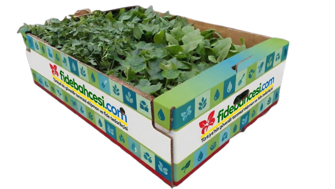 Hobi Fide Seti 200 Adet Karışık 