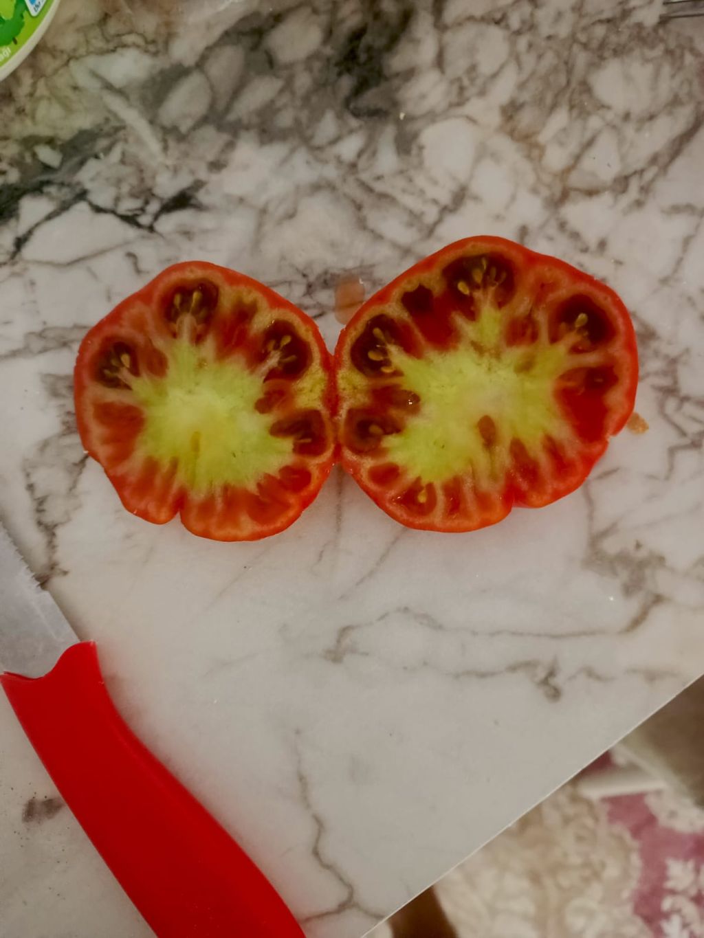 Domates (Solanum lycopersicum)